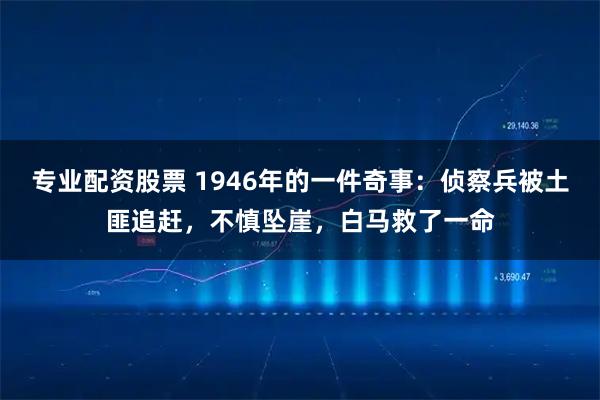 专业配资股票 1946年的一件奇事：侦察兵被土匪追赶，不慎坠崖，白马救了一命